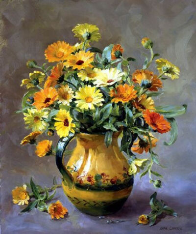 Anne Cotterill