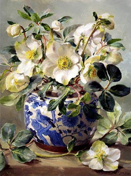 Anne Cotterill