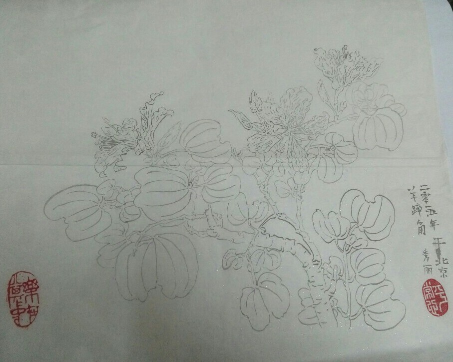 白描羊蹄角