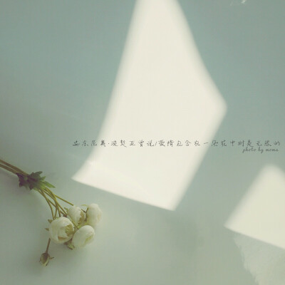 安东尼奥·波契亚