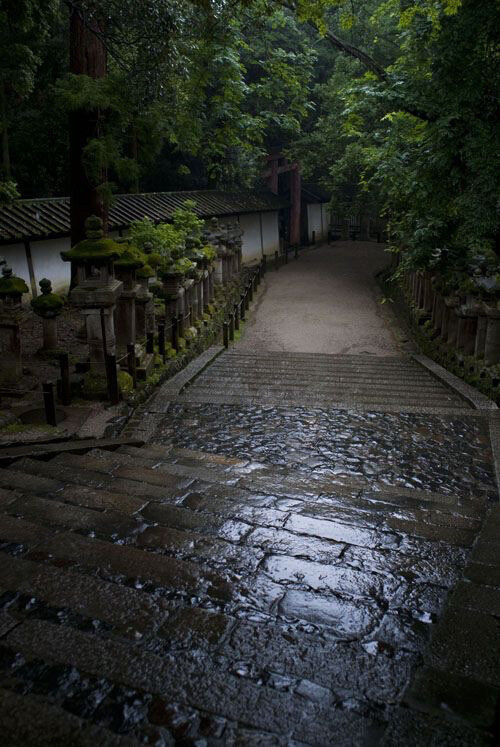 雨后湿漉漉的石板路。