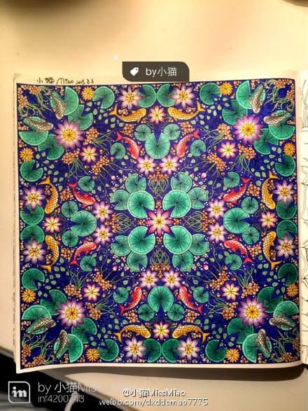 秘密花园大神作品。