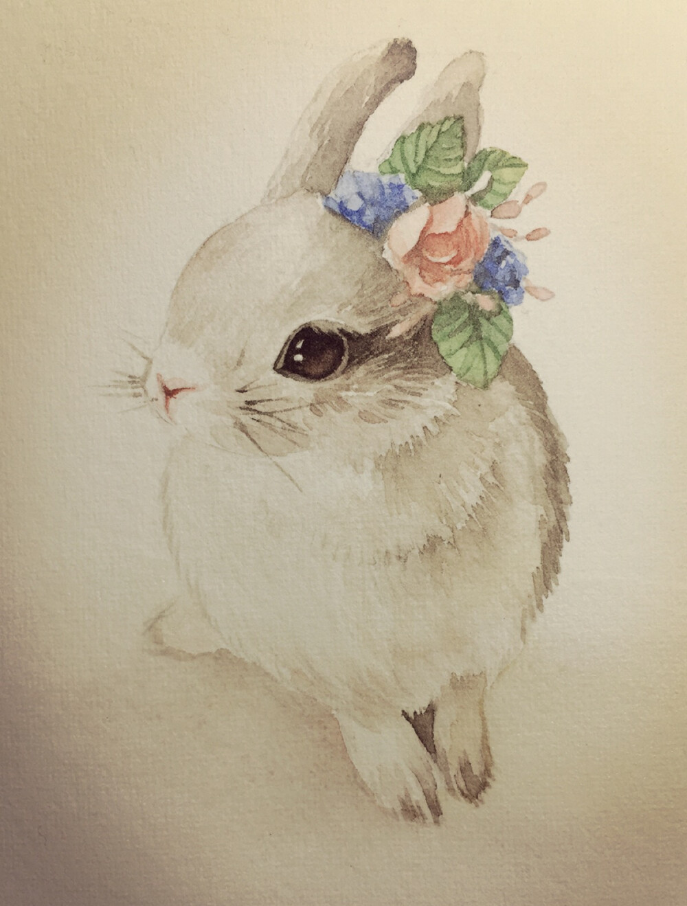 水彩插画兔兔