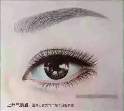 眉型图 上升眉！