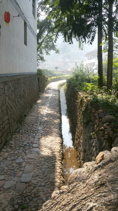 廉 の 村