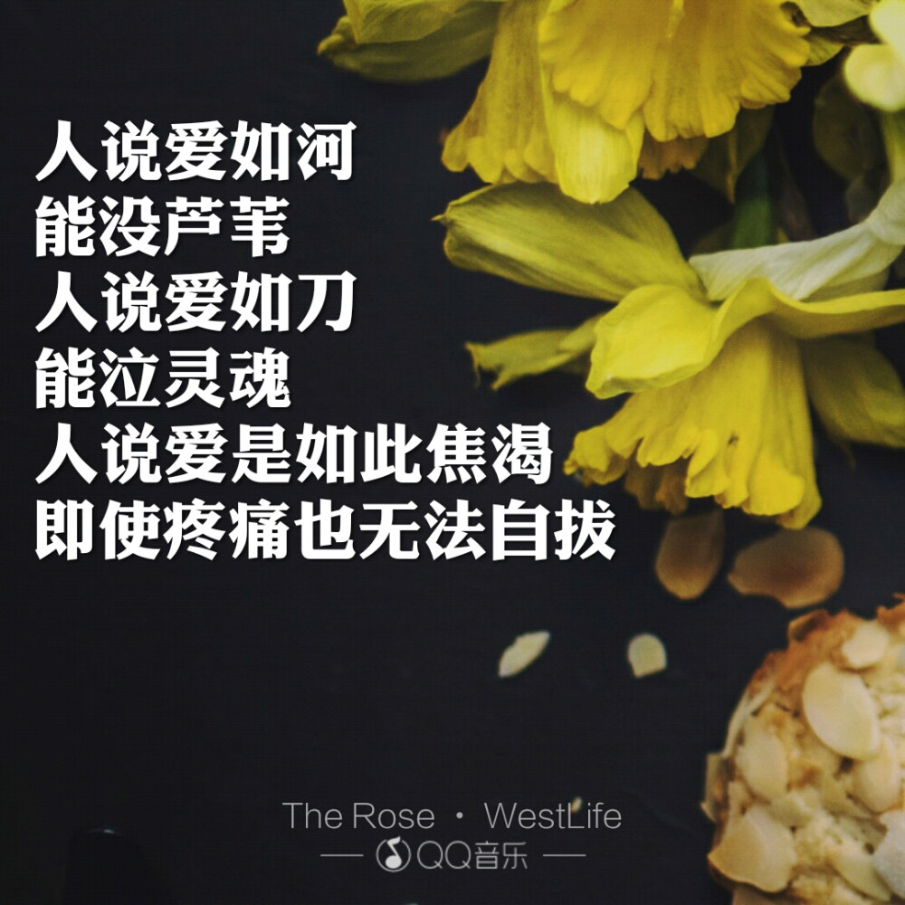 各人寻各花，各花入各眼。不一样的翻译，连意思都带了不同，The rose的另一种中文翻译。-在听歌的那些日子里，遇到的感动歌词。