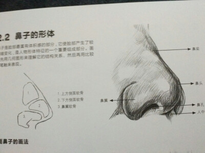 素描 绘画 新手入门 41