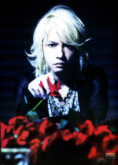 玫瑰hyde