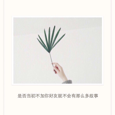 是否当初不加你好友就不会有那么多故事。