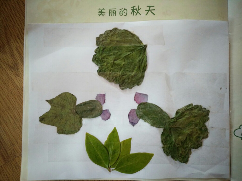 秋天到了，树叶飘飘洒落，捡起叶子，来做树叶粘贴画吧！