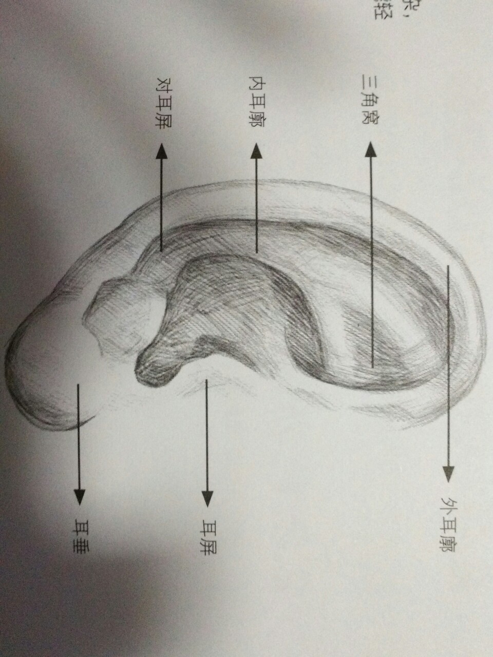 素描 绘画 新手入门 47