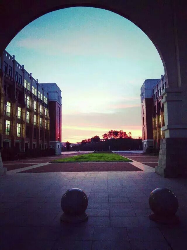 my college