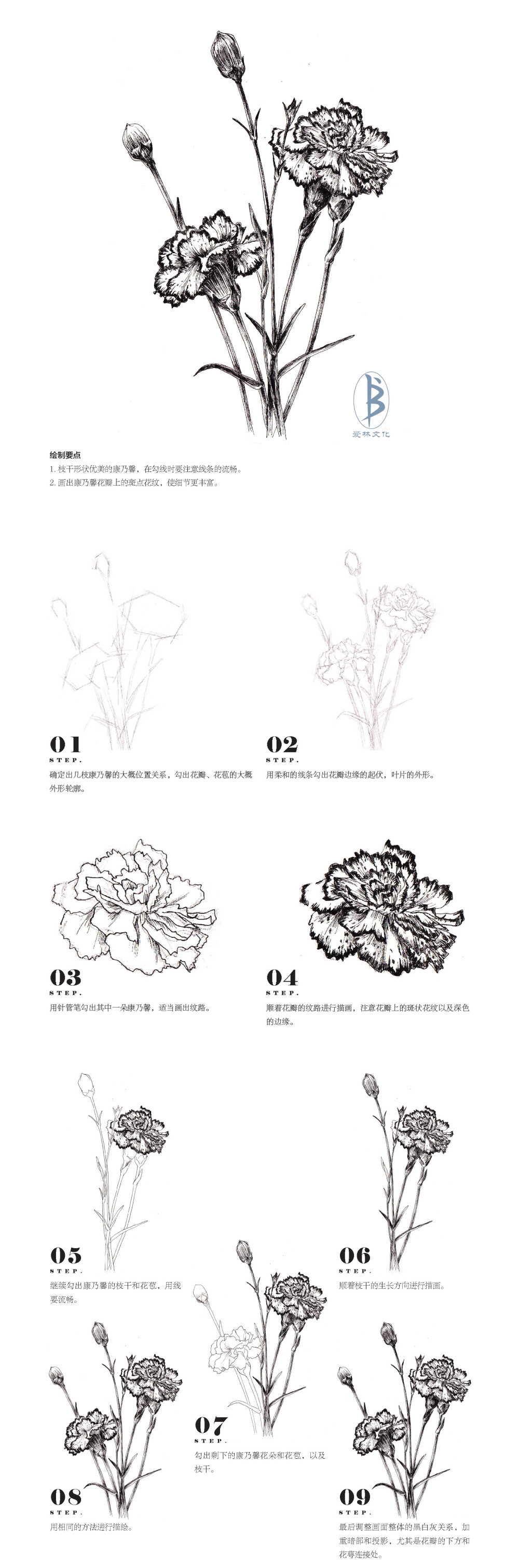 本案例摘自人民邮电出版社出版、爱林文化主编的《黑白花意5——笔尖下的花姿百态》--爱林文化制作