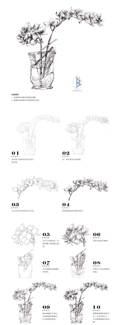 本案例摘自人民邮电出版社出版、爱林文化主编的《黑白花意5——笔尖下的花姿百态》--爱林文化制作