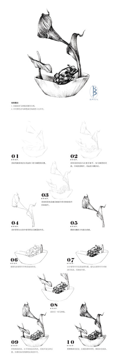 本案例摘自人民邮电出版社出版、爱林文化主编的《黑白花意5——笔尖下的花姿百态》--爱林文化制作