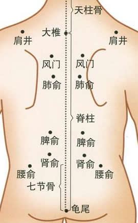 背部穴位