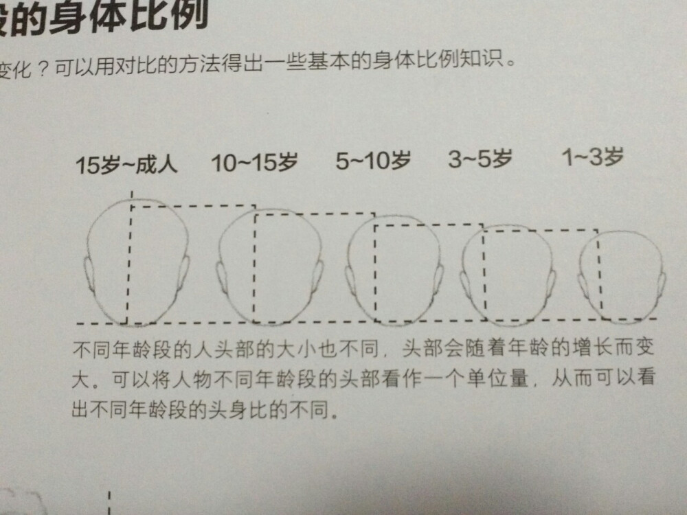 素描 绘画 新手入门 55 （15岁到成人大约1.5厘米。）