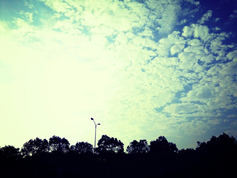 我的专属风景 #去老校区做实验的路上，深深地感觉到了作为一个工科女的痛苦