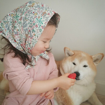 小萝莉 柴犬 宝宝 萌宝 娃娃 小孩 狗狗 宠物 儿童 萝莉 卖萌 可爱