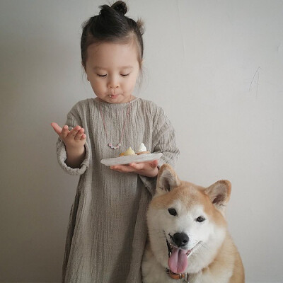 小萝莉 柴犬 宝宝 萌宝 娃娃 小孩 狗狗 宠物 儿童 萝莉 卖萌 可爱