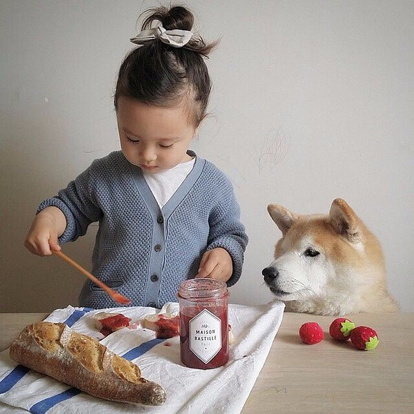 小萝莉 柴犬 宝宝 萌宝 娃娃 小孩 狗狗 宠物 儿童 萝莉 卖萌 可爱