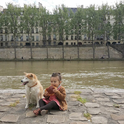 小萝莉 柴犬 宝宝 萌宝 娃娃 小孩 狗狗 宠物 儿童 萝莉 卖萌 可爱