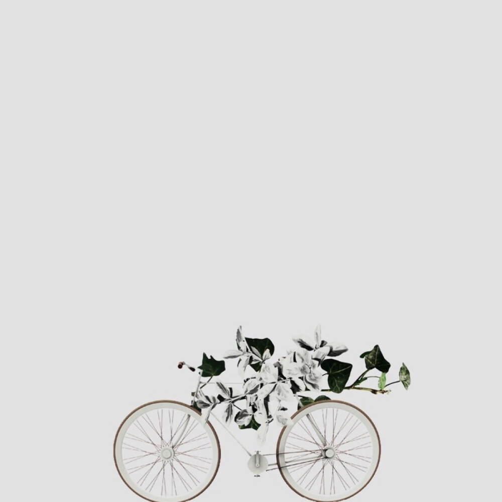 Jeff Manning 观念艺术作品