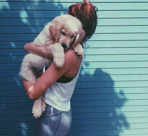 养一只金毛 养一只拉布拉多 给它们娶媳妇生一堆小宝宝~~~n(*≧▽≦*)n