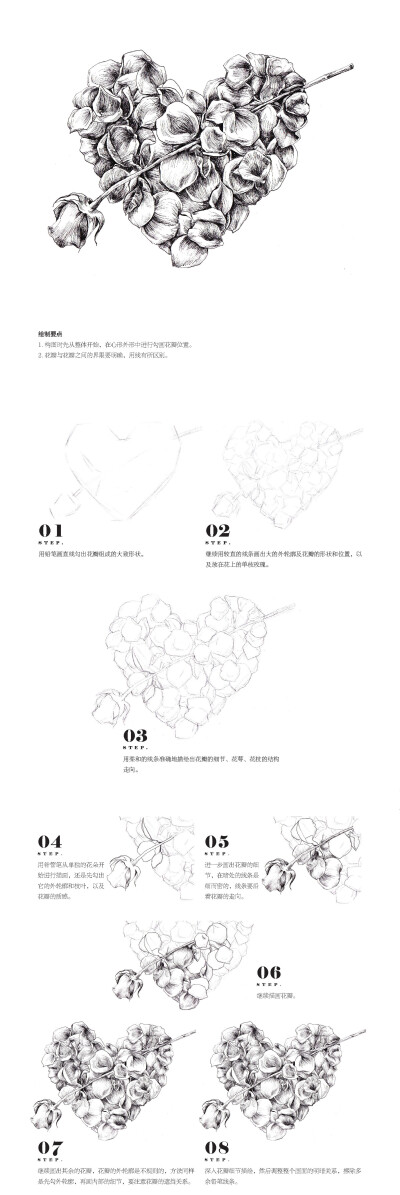 本案例摘自爱林文化主编、人民邮电出版社出版的《黑白花意5——笔尖下的花姿百态》http://product.dangdang.com/23802443.html