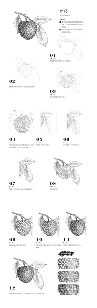 本案例摘自爱林文化主编、人民邮电出版社出版的《黑白画意——经典植物手绘教程》http://product.dangdang.com/23800636.html
