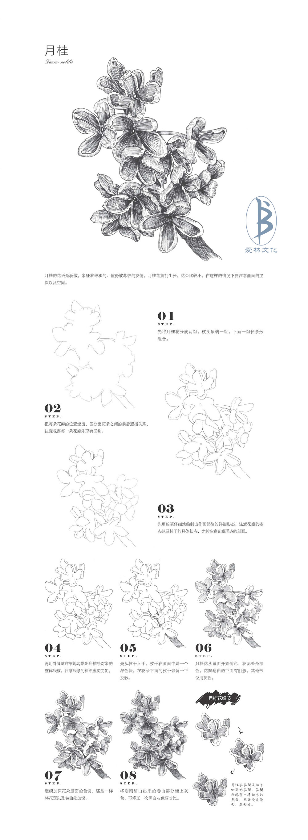 本案例摘自人民邮电出版社出版、爱林文化主编的《黑白花意4——笔尖下的经典花语绘》--爱林文化制作