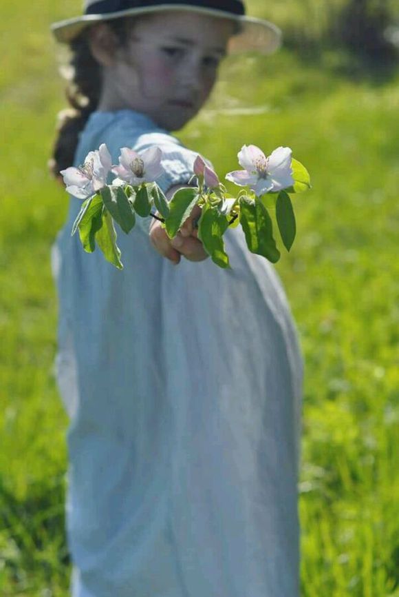 我的❀花.