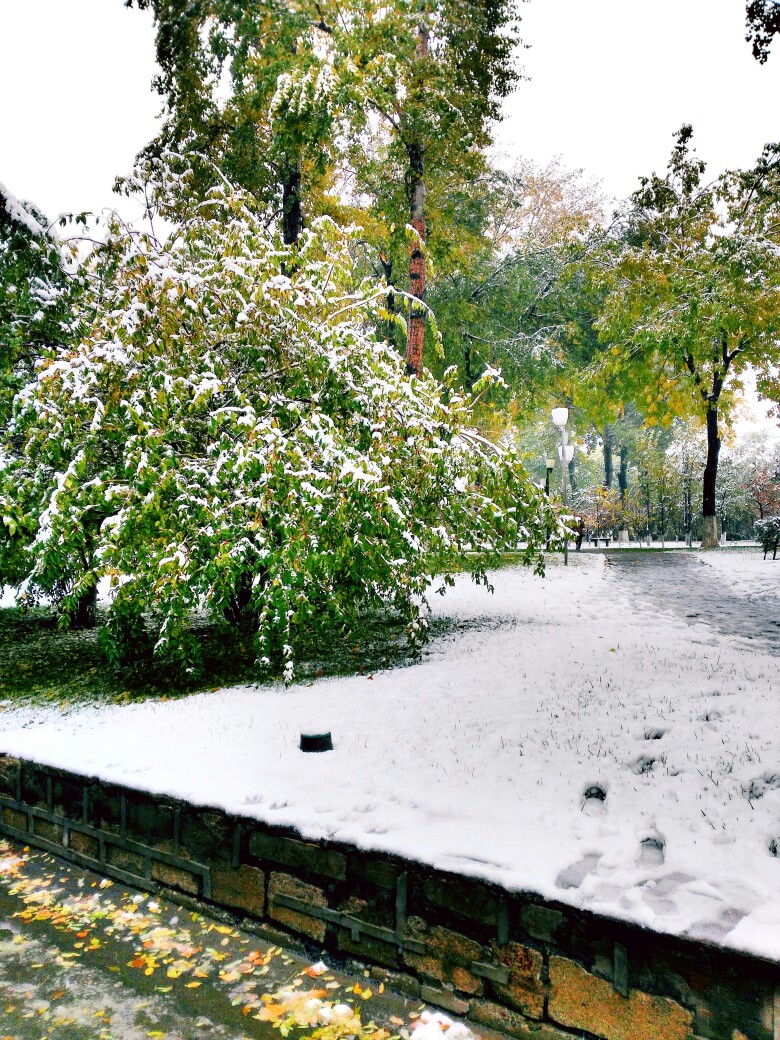 第一场雪