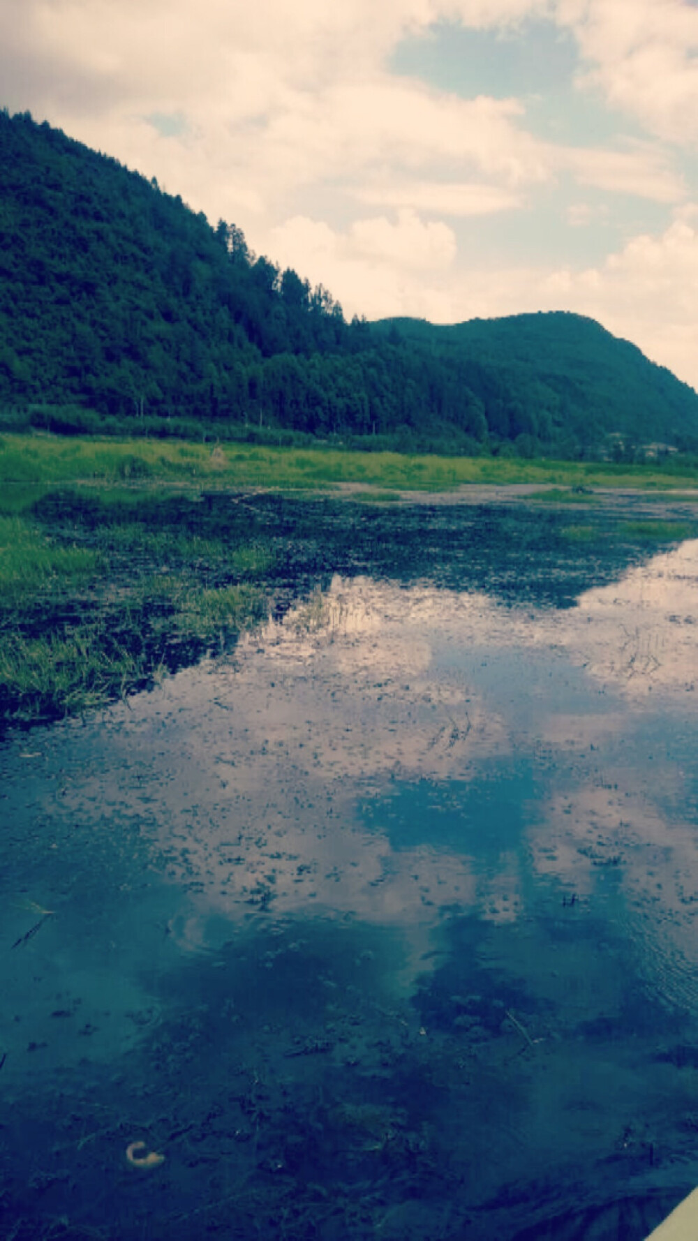 Wetland of my hometown