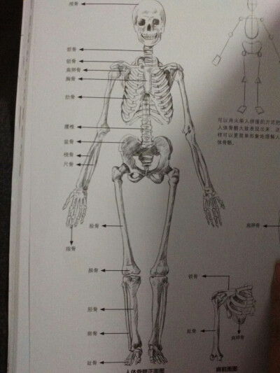 素描 绘画 新手入门 57