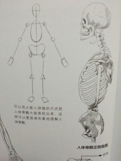 素描 绘画 新手入门 58