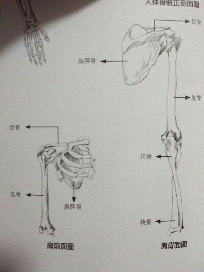 素描 绘画 新手入门 59