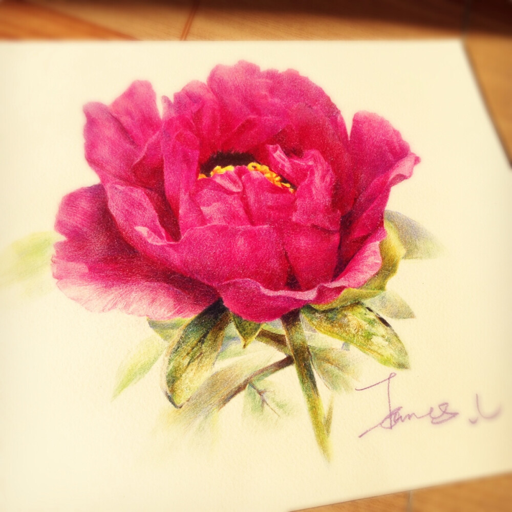 一尖己剥胭脂笔，四破犹包翡翠茸。（总要有一个记录的过程。）