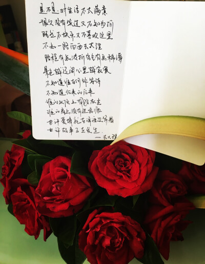 不如一路向西去大理