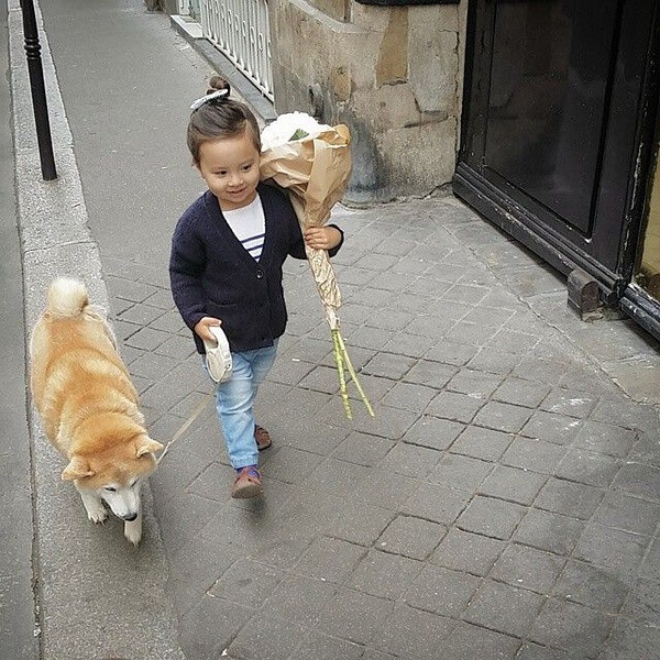 小萝莉 柴犬 宝宝 萌宝 娃娃 小孩 狗狗 宠物 儿童 萝莉 卖萌 可爱