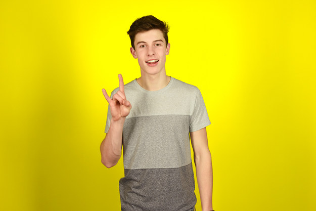 shawn mendes