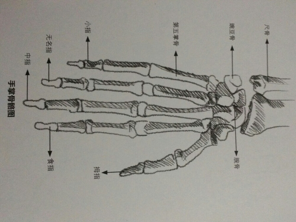 素描 绘画 新手入门 67