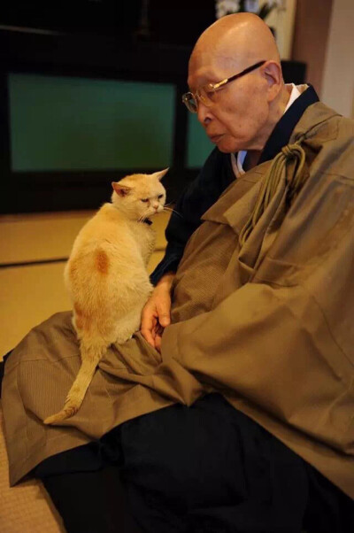 在福井县越前市有座寺庙，名叫御诞生寺，也被称为“猫寺”，住持和很多猫咪一起生活在这里。大约十年前，第一只猫被遗弃在了这里。
