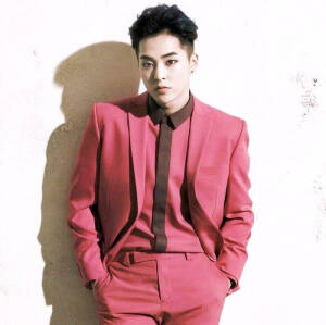 致我所爱的那十二个少年