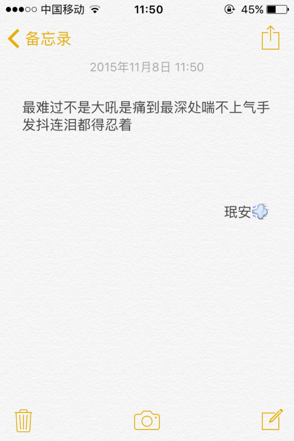 备忘录文字 最难过不是大吼是痛到最深处喘不上气手发抖连泪都得忍着