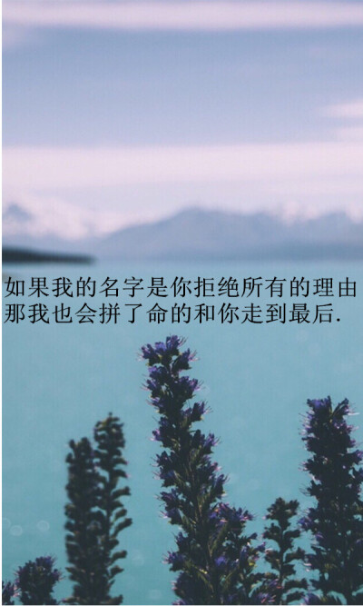 如果我的名字是你拒绝所有的理由 那我也会拼了命的和你走到最后.