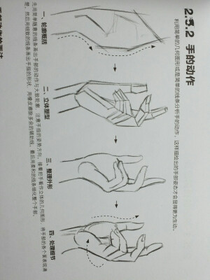 绘画  素描  新手入门  69