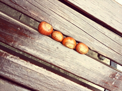 立冬.栗子 BY：Ulrica洛言珏