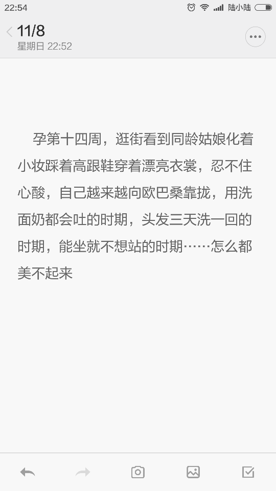  孕第十四周，逛街看到同龄姑娘化着小妆踩着高跟鞋穿着漂亮衣裳，忍不住心酸，自己越来越向欧巴桑靠拢，用洗面奶都会吐的时期，头发三天洗一回的时期，能坐就不想站的时期……怎么都美不起来