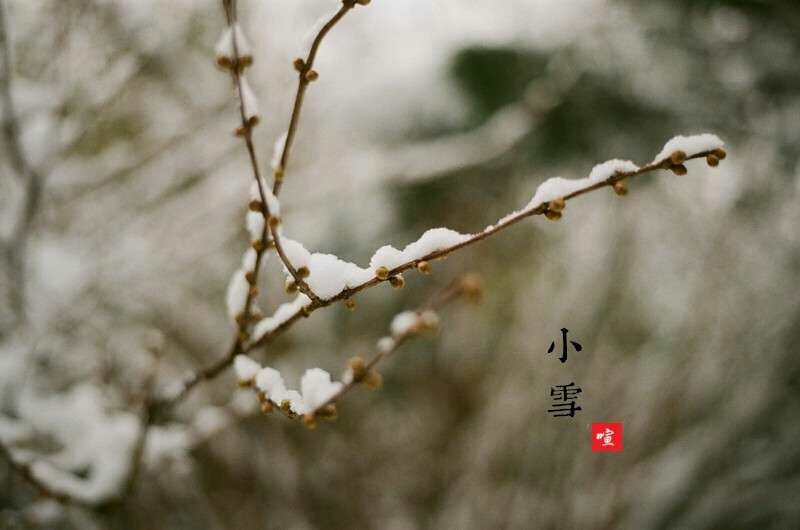 小雪